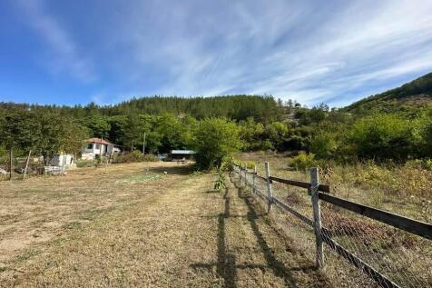 View of a fenced grassy yard with trees and a hill covered in forest in the background