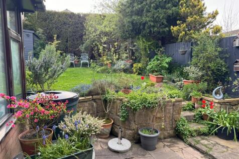 Garden in Summer