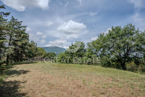 Panorama e Particolari