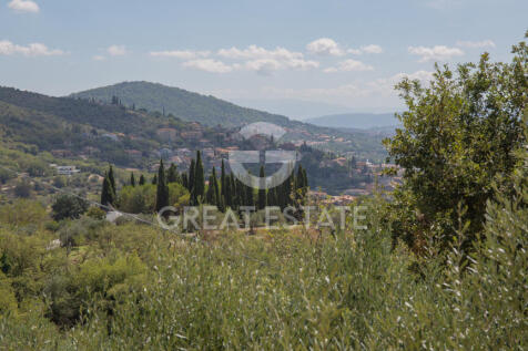 Panorama e Particolari