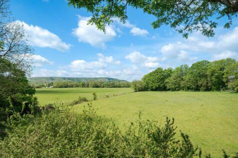 Countryside View