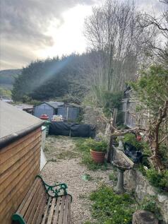 Garden.jpg