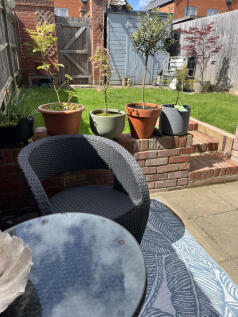 IMG_4120.jpeg