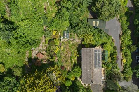 Drone Plot close up_Brambles, Weeke Hill, Dartmouth