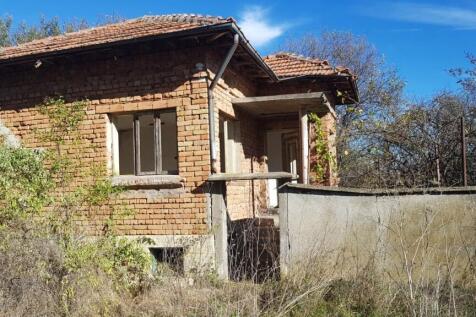 View of the brick house exterior showing tiled roof and small porch surrounded by overgrown vegetation
