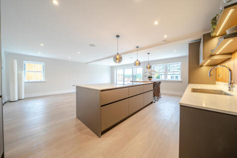 Kitchen and Living/Dining Space