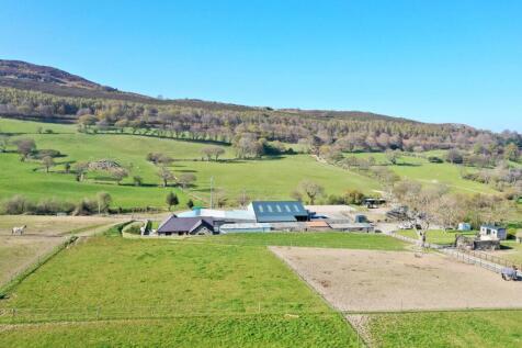 PHOTO-2025-04-12-18-39-52 (1).jpg