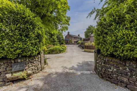 Denise White's Comments