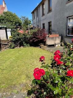 back garden.jpg