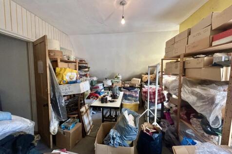 15  Medium  T202507021026.jpg