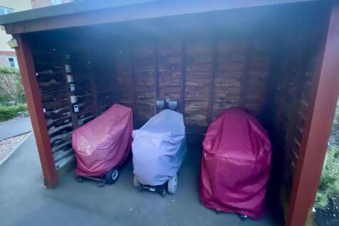 Buggy Store