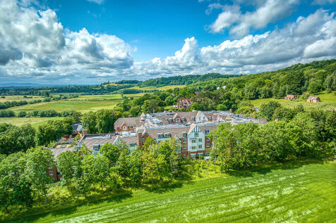 Drone Image