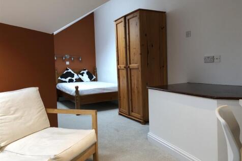 Lounge / Bedroom