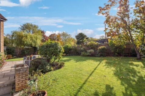 P1013231-9bbfbc4aa61d612c4cf0be025c109991 - 800px.