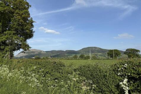 Views and Local Area