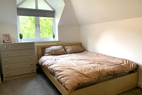 IMG_2204-scaled-1 (1).jpg