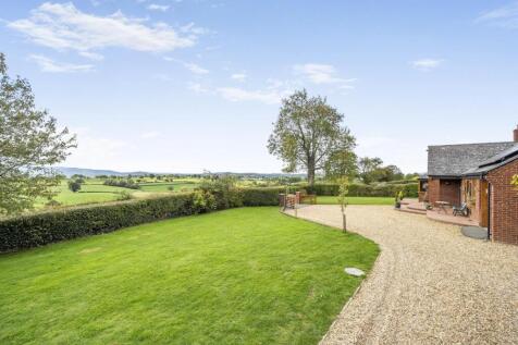 Side garden with gravelled drive.jpg