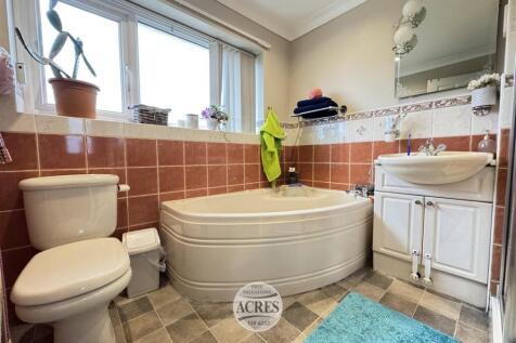 IMG_8686 (Large).jpg