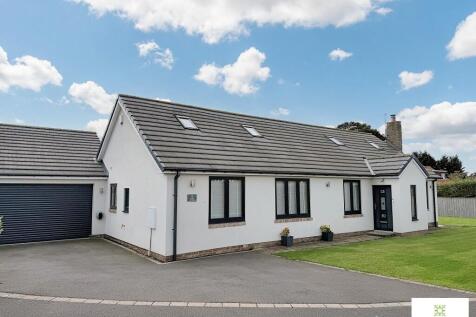 Picture No. 02
