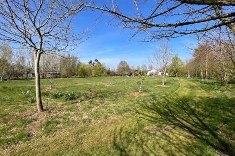 IMG-20250414-WA00...