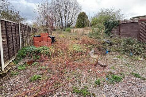 Garden 3