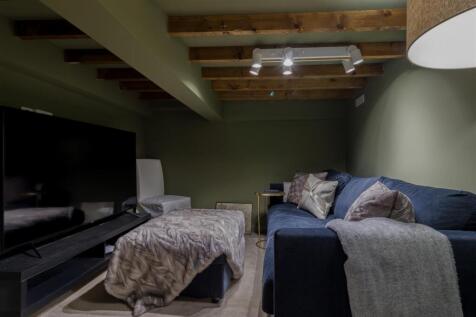 CELLAR TV ROOM