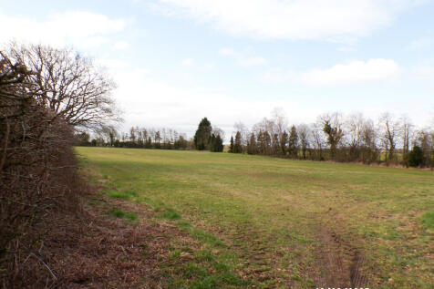 116_4532_edited_e...