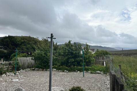 Back Garden