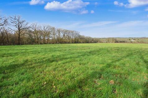 Grassland