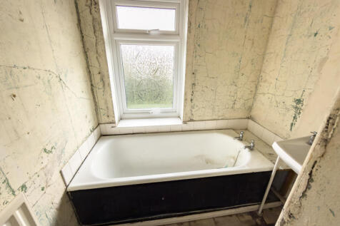 IMG 3170 T202602271357.jpg