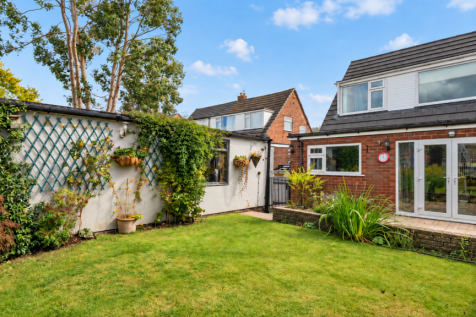 Sunlit Suburban Garden and Patio