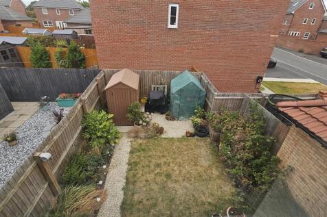 31.jpg