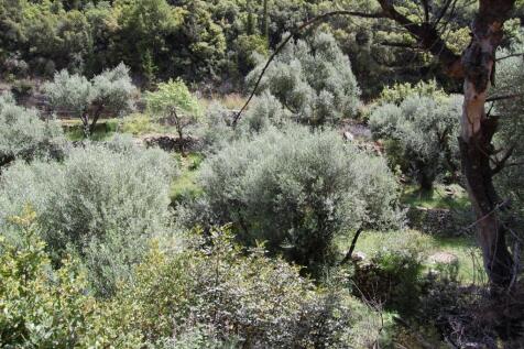 Terrain &amp; landscape