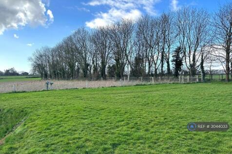 The Large Lawn (Gardener Is Included)