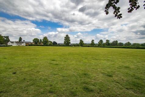 Cricket pitch