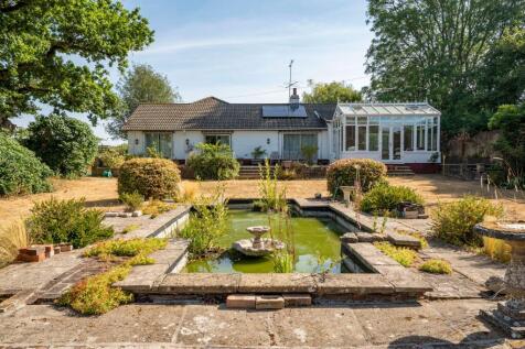 Main Garden - Ornamental Pond