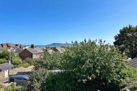IMG_3993.jpeg