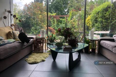 Dining / Living Room