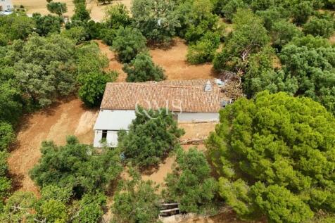DJI_20260624131335_0047_D