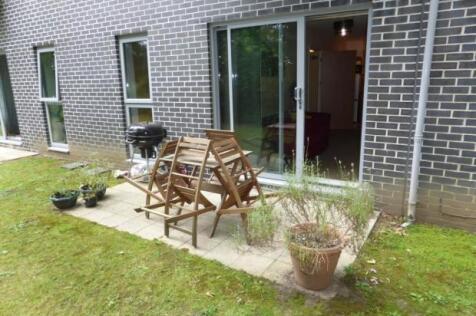 Patio Area