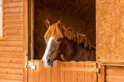 Ashton House (Kirton)-42.jpg