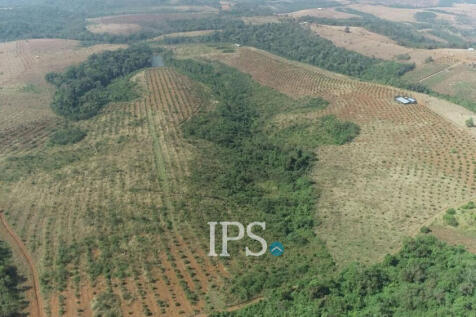 60 Ha Agricultural Land For Sale - Ou Reang District, Mondulkiri Province
