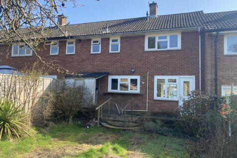 05-03-2026  14-36-37 IMG 4141 T202603061335.jpg