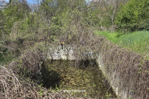 Concrete pool structure partially filled with water and overgrown with plants and vines around the edges.