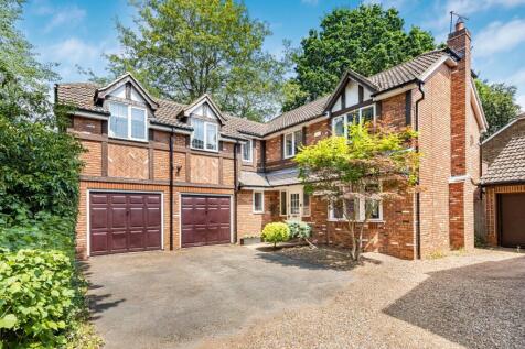 whatsappimage20260827at14726pmjpeg6