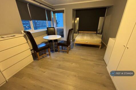 Lounge/ Bedroom