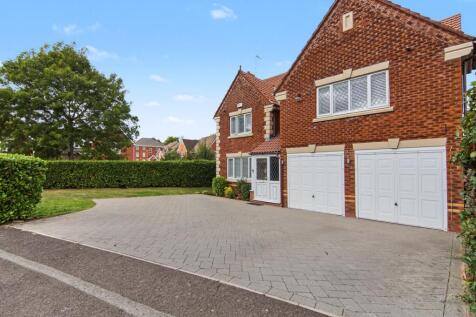 Property Image 36