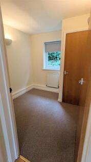 PXL_20230414_153509101 (Large).jpg