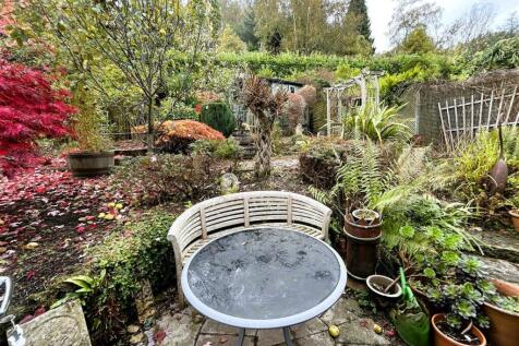 garden.JPG