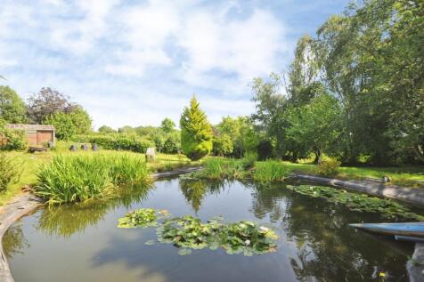 Pond